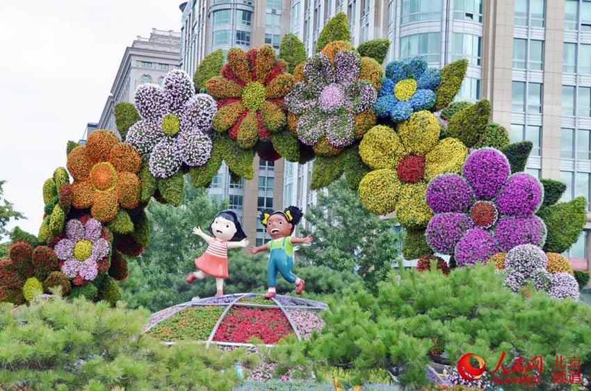 京城千万株花卉扮靓中非合作论坛北京峰会 京城千万株花卉扮靓中非合作论坛北京峰会