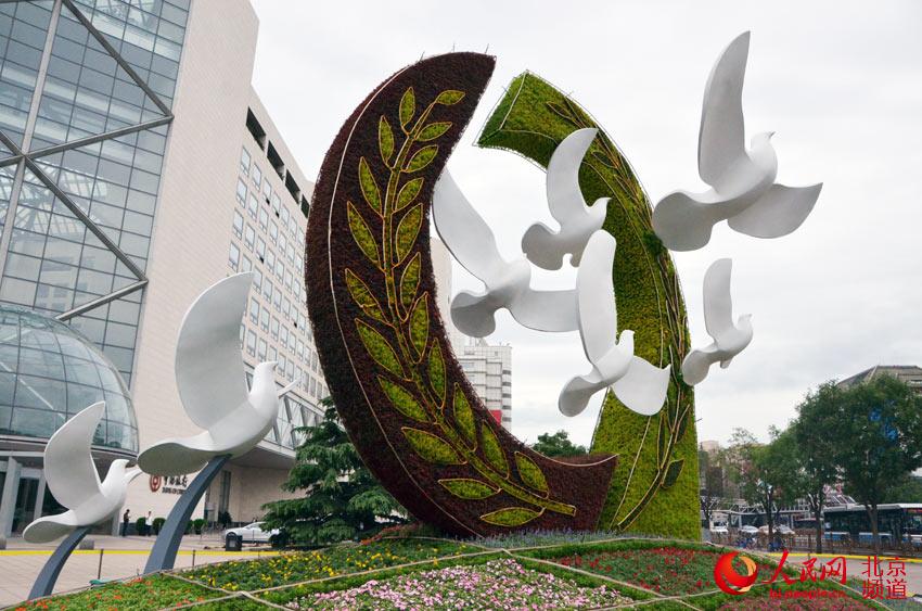 京城千万株花卉扮靓中非合作论坛北京峰会 京城千万株花卉扮靓中非合作论坛北京峰会