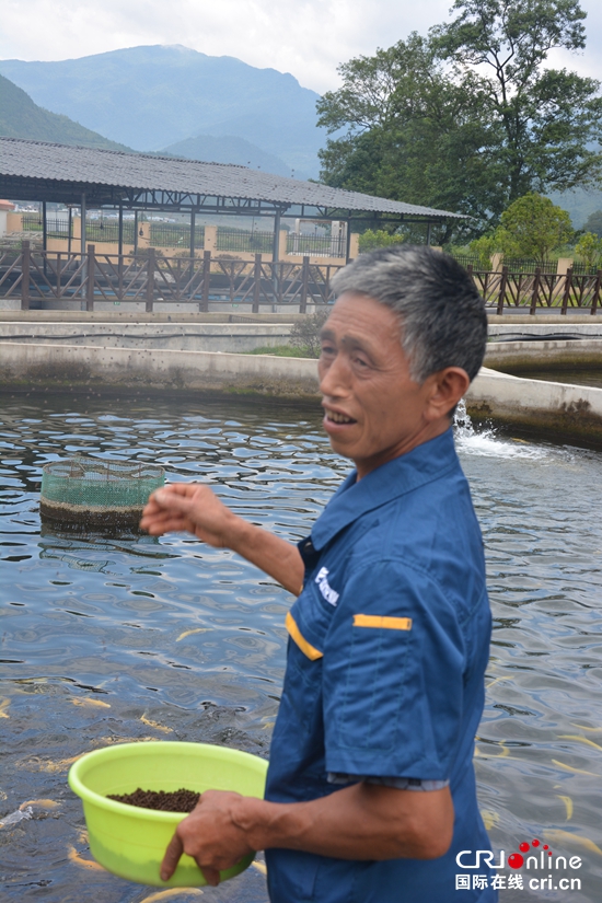 【特色新兴产业看贵州】梵净山下净河村：冷水池里的火热致富经