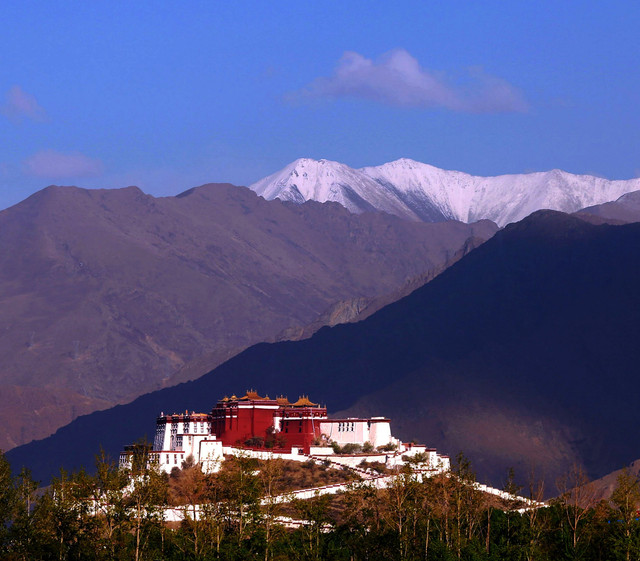 "拍遍西藏"网络影像节获奖作品展播:布达拉宫组图