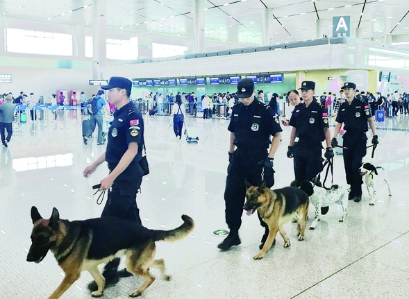 哈尔滨机场添5 名“警犬卫士”