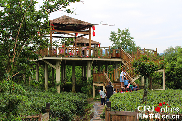 图片默认标题_fororder_茶隐乡居民宿