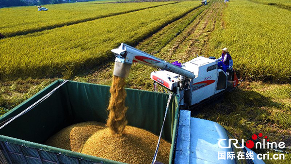 图片默认标题_fororder_美丽的丰收景象