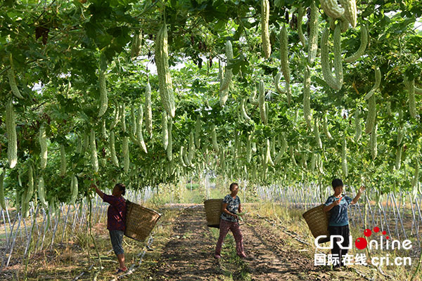 图片默认标题_fororder_1