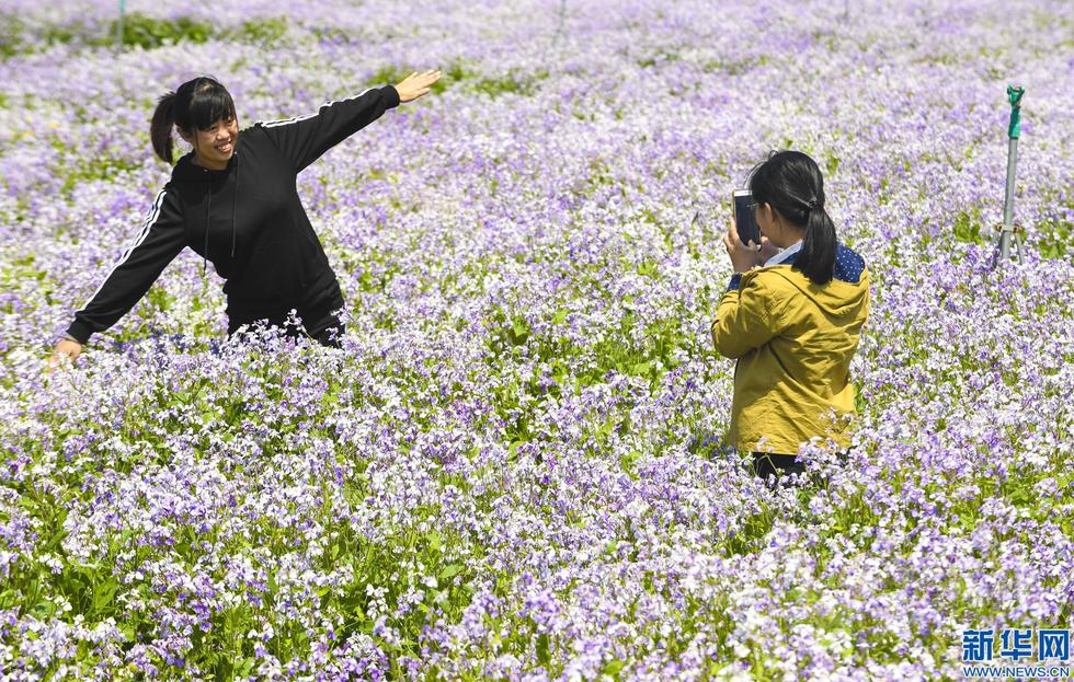 图片默认标题