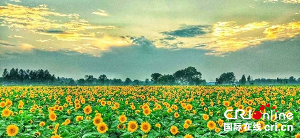 图片默认标题_fororder_1