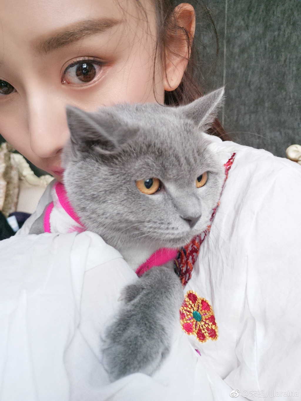 《花少3》宋祖儿是舒畅表妹是童星也是富二代