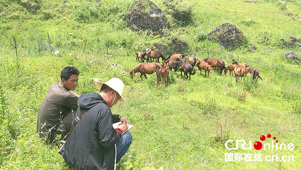 图片默认标题_fororder_2