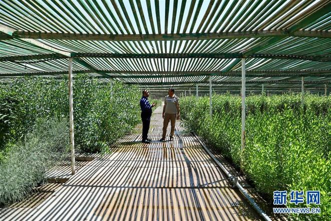 图片默认标题_fororder_ku7