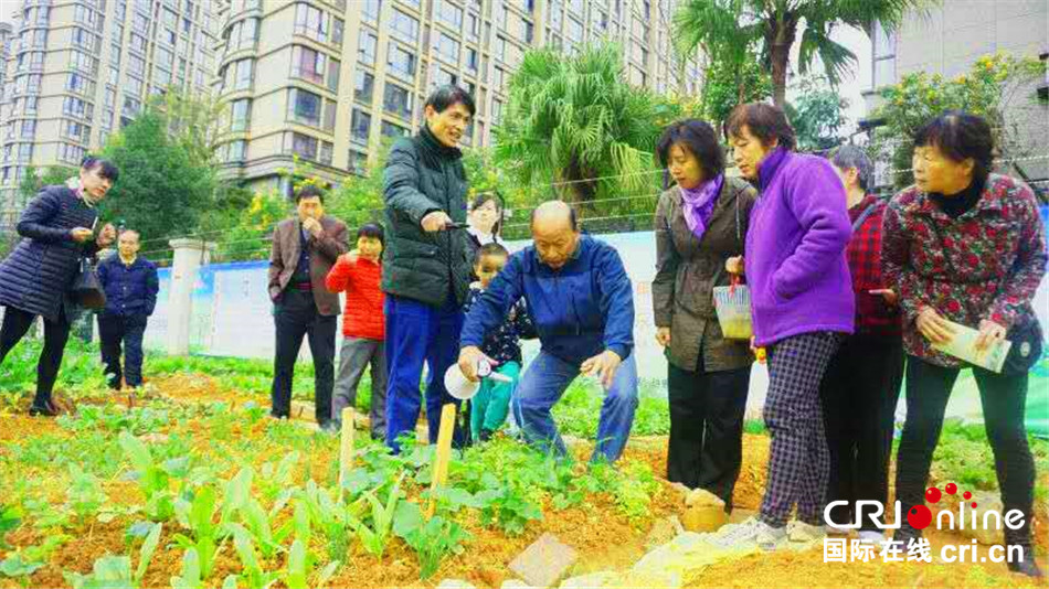 “环保老顽童”柯文沣:发挥生命余热 让垃圾“重生” “环保老顽童”柯文沣:发挥生命余热 让垃圾“重生”