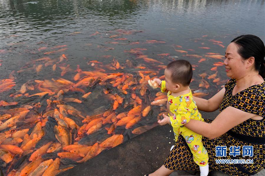 福建福鼎:桐山溪畔人鱼同乐 福建福鼎:桐山溪畔人鱼同乐