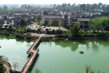 (导航眉山）夯实乡村振兴基础 眉山成全省“代表”