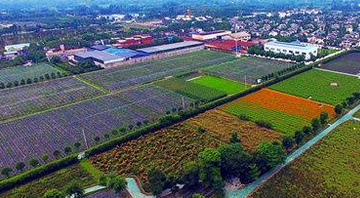 (导航眉山）夯实乡村振兴基础 眉山成全省“代表”