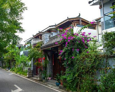 (导航眉山）夯实乡村振兴基础 眉山成全省“代表”