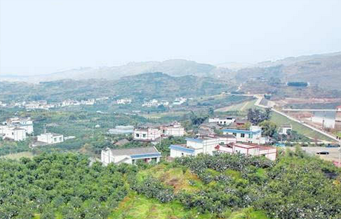 (导航眉山）夯实乡村振兴基础 眉山成全省“代表”