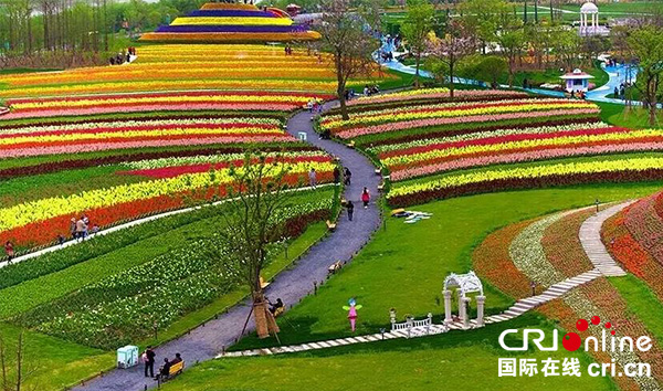 4月29日5月29日,成都新津"童梦奇缘风车节"将在该县斑竹林景区