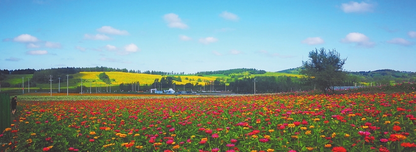 长春:金秋时节赏花采摘正当时 长春:金秋时节赏花采摘正当时