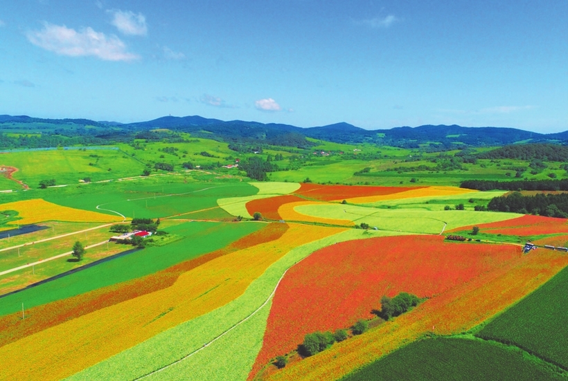长春:金秋时节赏花采摘正当时 长春:金秋时节赏花采摘正当时