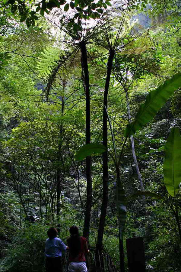 （大生态）规划总面积13300公顷 贵州这个自然保护区要这样搞