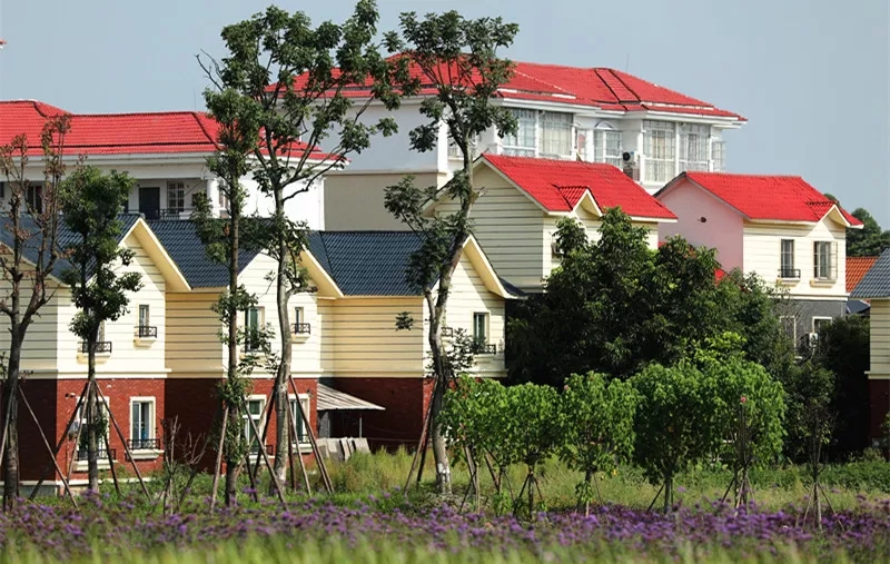 （导航成都，移动端）葵花海、小别墅 新津打造共享农庄推动村社复兴