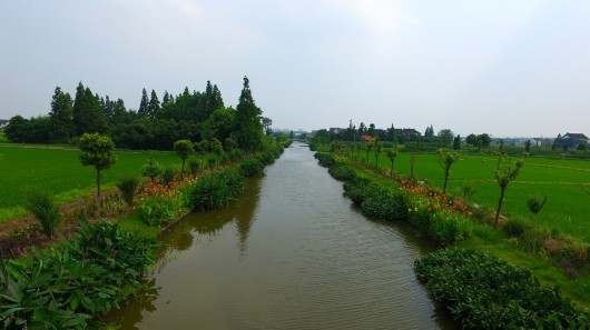 上海市首家区河湖管理事务中心在青浦成立