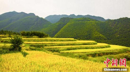 图片默认标题_fororder_200x133_65b5ba657c6a40488fe7a9b9f2fa1f0f