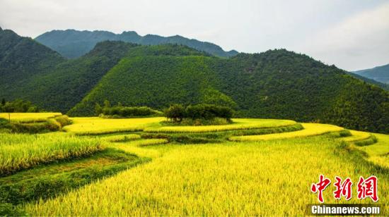 图片默认标题_fororder_200x133_46e9d852062f47b1ad44d7a3e6e90650