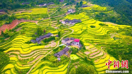 图片默认标题_fororder_200x133_a00aeed0809748b9a0d51944462d8750