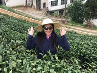 记者体验中国茶文化