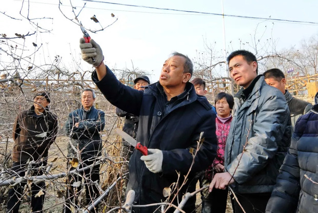 习近平为这些老师点赞，他们是谁？