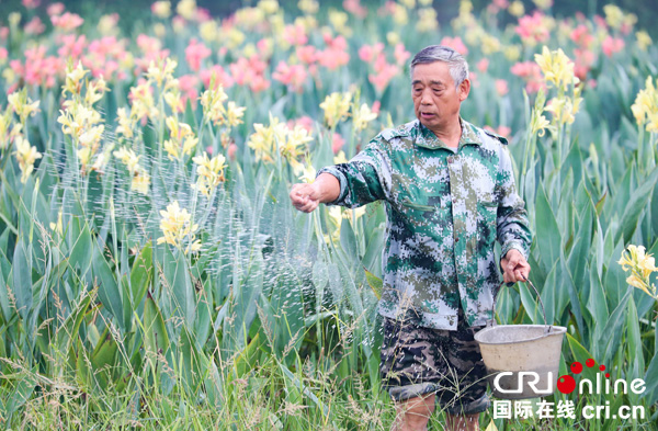 图片默认标题_fororder_刚忙完秋收的农民又继续奔忙田间给经济作物施肥