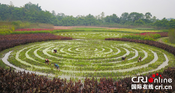 图片默认标题_fororder_刚忙完秋收的农民又继续奔忙田间管护经济作物
