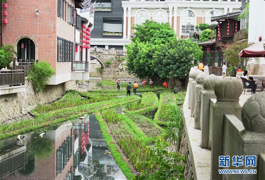 福州:构建内河水系生态修复链提升河水自净能力 福州:构建内河水系生态修复链提升河水自净能力