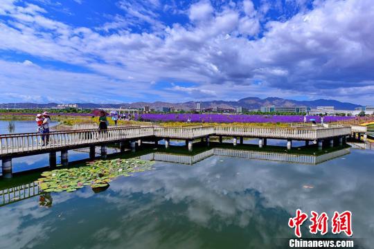 图片默认标题_fororder_hua2