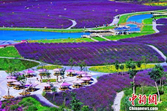 图片默认标题_fororder_hua7