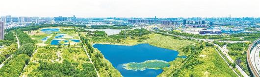 最优营商环境释放最强吸引力——武汉市硚口区打造创业福地、创新高地、创富圣地
