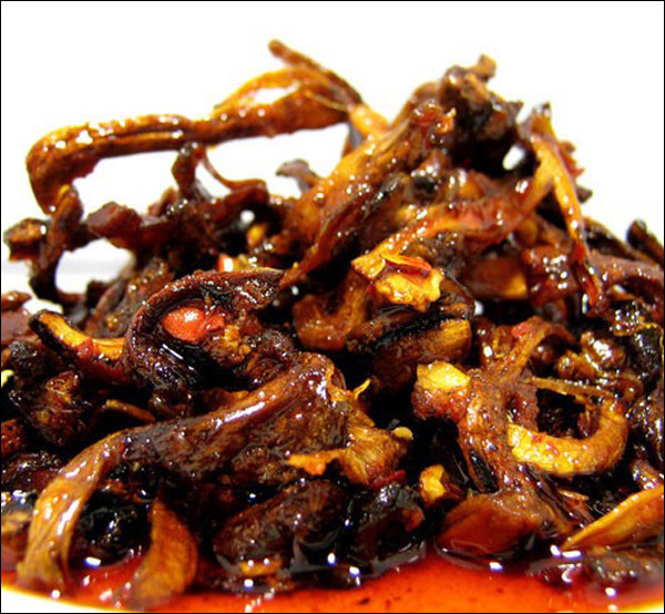 อาหารจานเด็ดจากเห็ดป่ายูนนาน