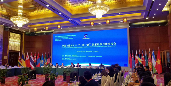 陕西榆林召开中国（榆林）“一带一路”国家经贸合作对接会