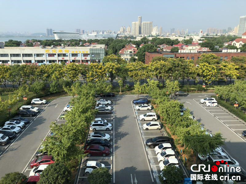 武汉开发区市民服务中心停车不再难