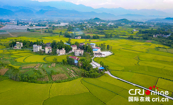 图片默认标题_fororder_产村相融助力乡村振兴-（摄影-邱海鹰）