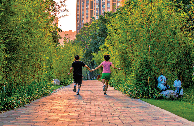 （焦点图，导航成都，移动端轮播图）绿树成荫、繁花似锦 天府新区生态隔离带今年年底初现