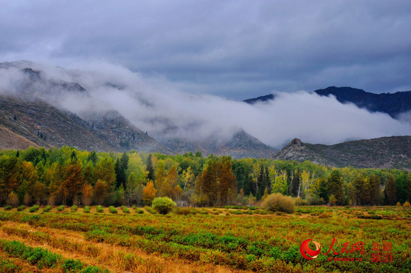 九月到新疆可可托海遇到最美秋天