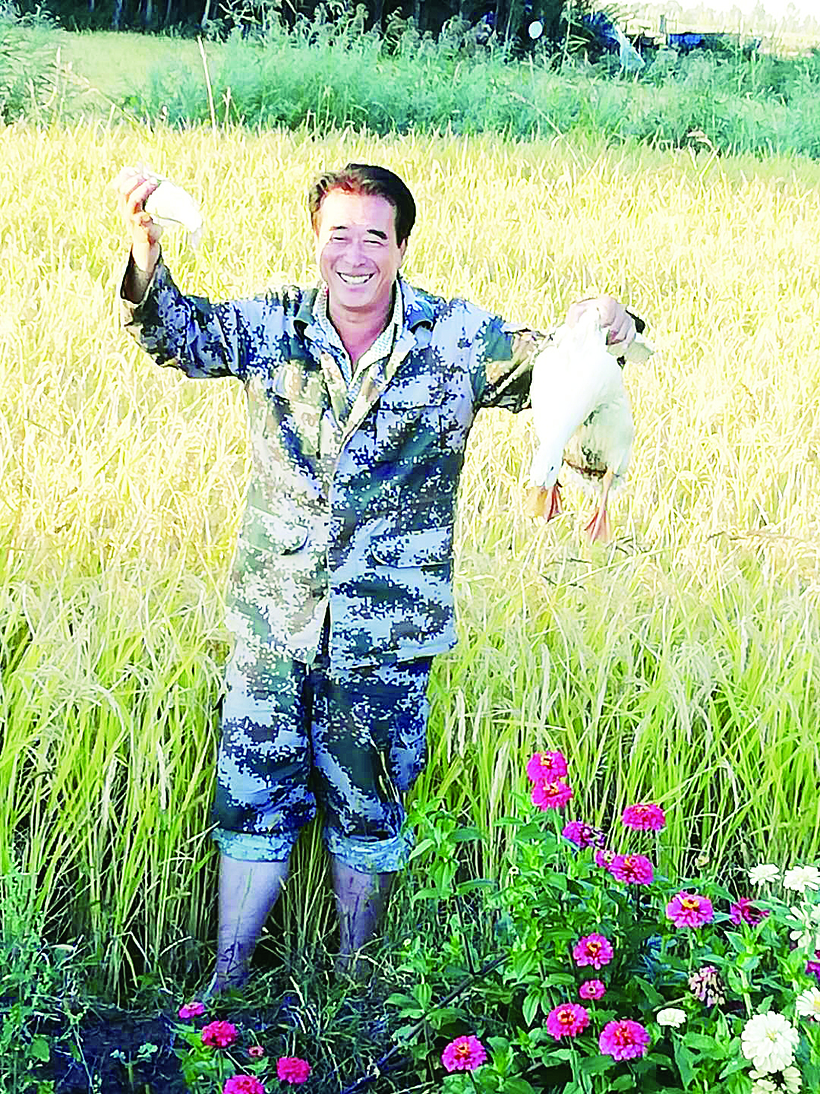 “稻鱼鸭共作”示范田 探索绿色有机生态农业发展新路子