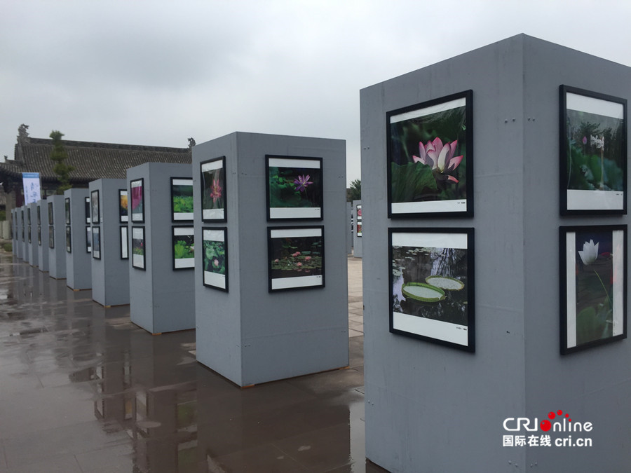 【ChinaNews带图列表】【CRI看山西-列表】【三晋大地-晋中】【首页标题】首届“清风正气”主题摄影展开展【内容页标题】首届“清风正气”主题摄影展亮相第18届平遥摄影大展 【ChinaNews带图列表】【CRI看山西-列表】【三晋大地-晋中】【首页标题】首届“清风正气”主题摄影展开展【内容页标题】首届“清风正气”主题摄影展亮相第18届平遥摄影大展