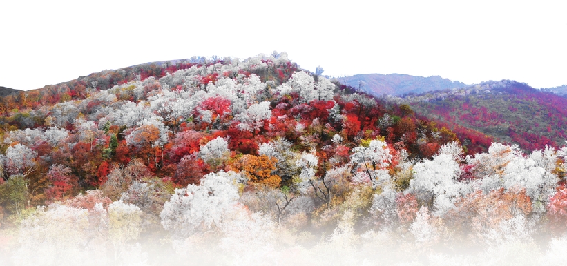 白山市浑江区创建全省文明城市工作掠影 白山市浑江区创建全省文明城市工作掠影