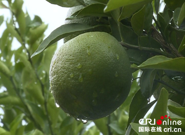 图片默认标题_fororder_QQ图片20180920170649