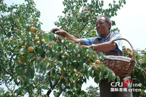 【CRI看山西-列表】【三晋大地-大同】大同市云州区:吹响决胜全面脱贫攻坚冲锋号 【CRI看山西-列表】【三晋大地-大同】大同市云州区:吹响决胜全面脱贫攻坚冲锋号
