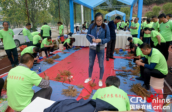 图片默认标题_fororder_猕猴桃嫁接技能竞赛（摄影--李建生）