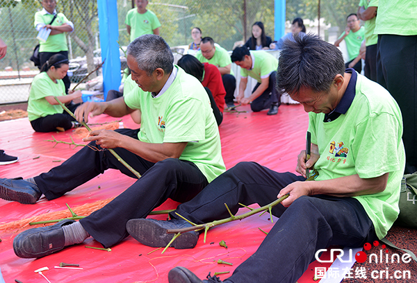 图片默认标题_fororder_核桃芽接技能竞赛（摄影--李建生）