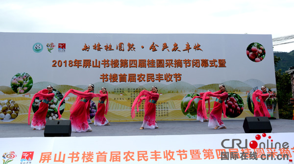 图片默认标题_fororder_演出现场--（摄影-何芳）